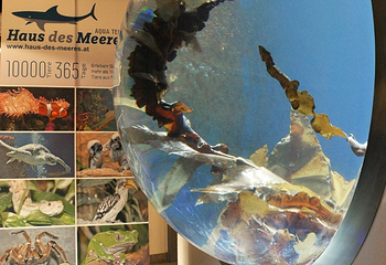 水族馆－水上动物园第 24 张图片