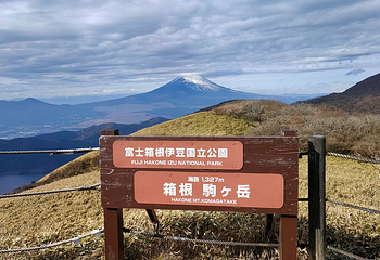 箱根驹岳山空中缆车第 14 张图片