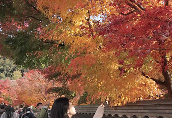 南禅寺第 15 张图片