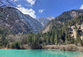 九寨沟风景区第 227 张图片