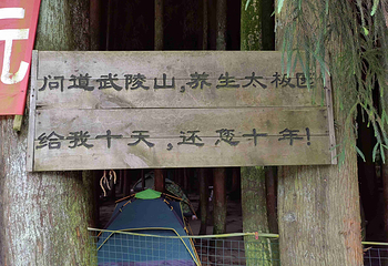 武陵山国家森林公园第 52 张图片