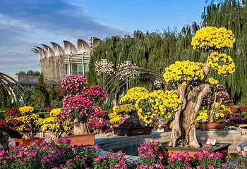 世界花卉大观园第 26 张图片