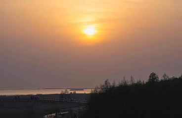东滩湿地公园第 82 张图片