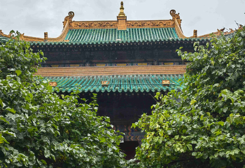 席力图召第 23 张图片