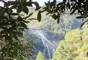 九鲤湖风景区第 10 张图片