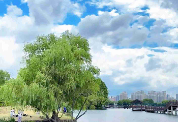 石湖景区第 121 张图片