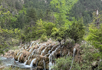 青秀山第 192 张图片