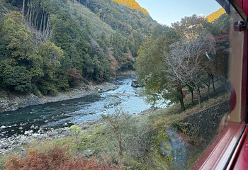 岚山嵯峨野观光小火车第 48 张图片
