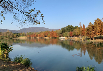 钟山风景名胜区第 88 张图片