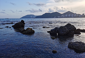 后海村第 43 张图片