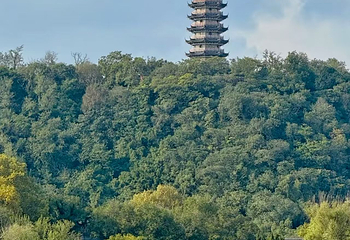焦山第 39 张图片