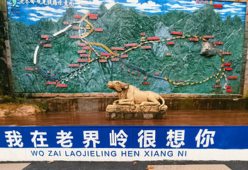 老界岭旅游度假区第 84 张图片