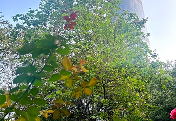 花城广场第 109 张图片