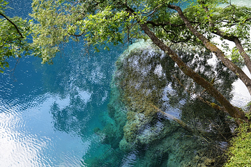 九寨沟风景区第 281 张图片