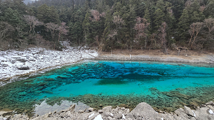 九寨沟风景区第 311 张图片