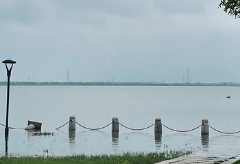 同里国家湿地公园第 128 张图片