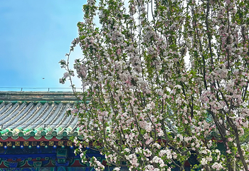 日坛公园第 55 张图片