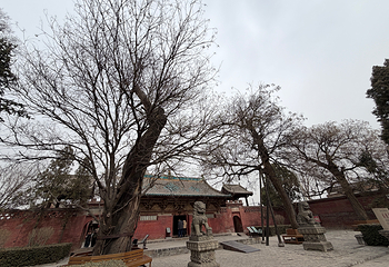 镇国寺第 105 张图片