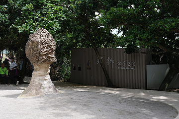 野柳地质公园第 92 张图片