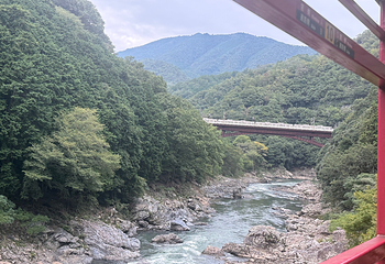 岚山嵯峨野观光小火车第 45 张图片