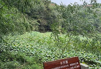 天目湖山水园第 92 张图片