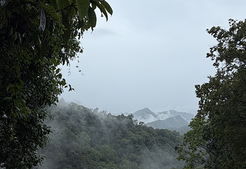 青城山第 473 张图片
