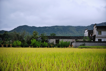 宏村景区第 482 张图片