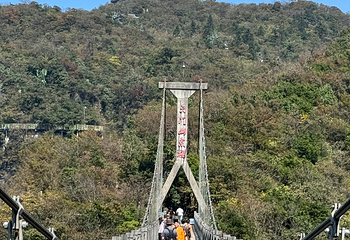 天门山国家森林公园第 406 张图片