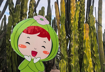 厦门园林植物园第 117 张图片