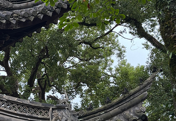 天一阁博物院第 123 张图片
