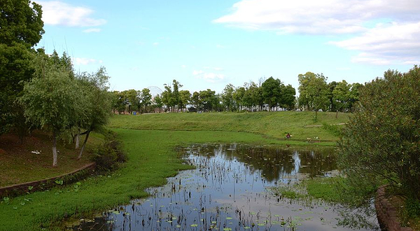 红谷滩湿地公园