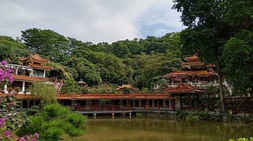 深圳仙湖植物园-盆景园
