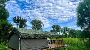 树小野城市营地