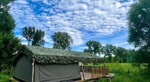 树小野城市营地