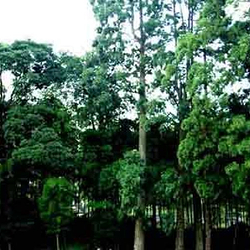 威远江自然保护区