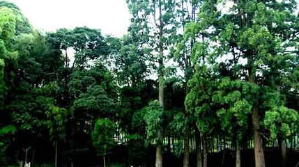 威远江自然保护区第 1 张图片