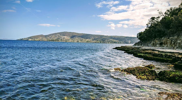 Kangaroo Bluff reserve