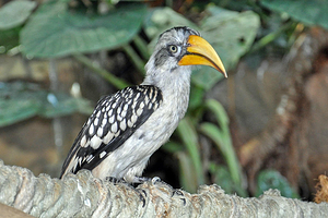 水族馆－水上动物园