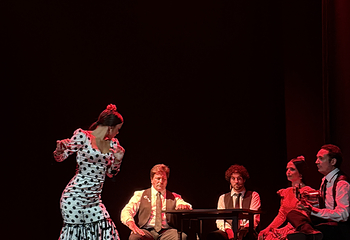 塞维利亚Teatro Flamenco Sevilla弗拉明戈剧院第 15 张图片