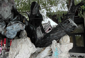 大明湖景区第 66 张图片