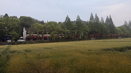 诸葛八卦村景区第 97 张图片