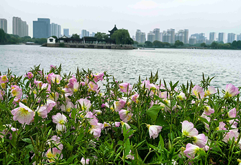 石湖景区第 30 张图片