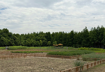浦江郊野公园第 76 张图片