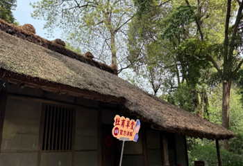 杜甫草堂第 478 张图片