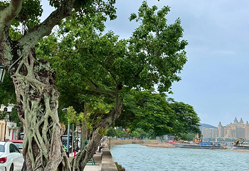 路环岛第 63 张图片