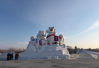 哈尔滨冰雪大世界第 330 张图片