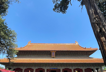 曲阜三孔景区第 121 张图片