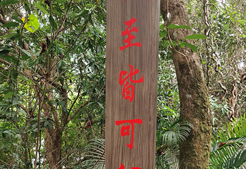 神玉岛第 66 张图片