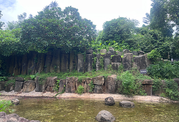 湖光岩风景区第 49 张图片
