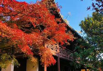 采石矶第 42 张图片
